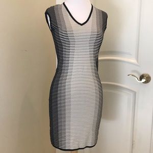 NWOT Adrienne Vittadini  knit dress